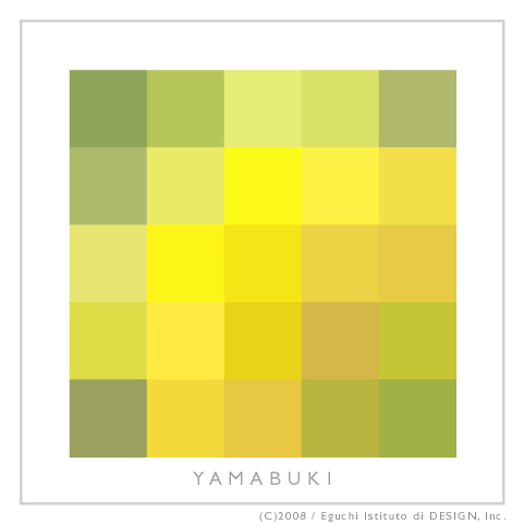 20080417_yamabuki.jpg