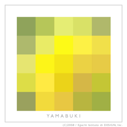 20080417_yamabuki-Ctype.jpg