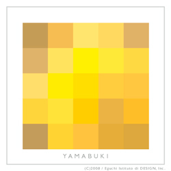 20080417_yamabuki-Ptype.jpg